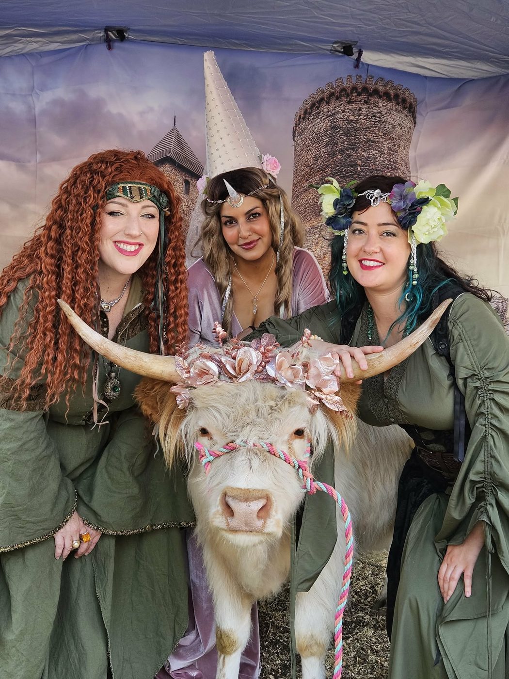 Faire-goers in costume meeting one of our white Highland cows at an event